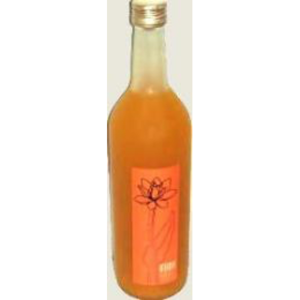 フルフルーティ  ダブルマンゴー (720ml)